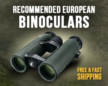 Recommended European Optics 2020