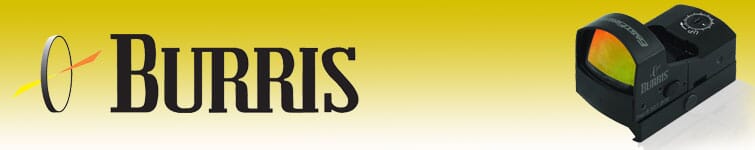 Burris Fastfire Sights