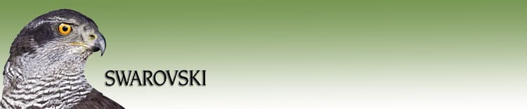 Swarovski Accessories