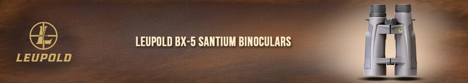 Leupold BX-5 Santiam HD Binoculars