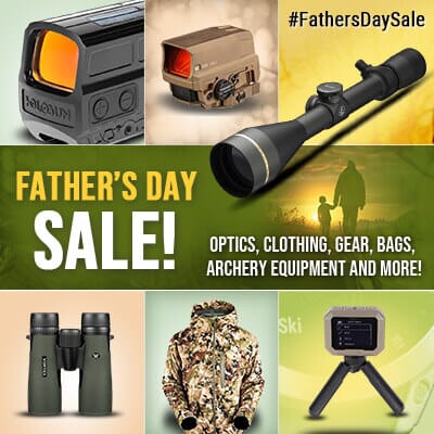 Fathers day Sale