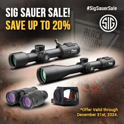 sig sauer sale