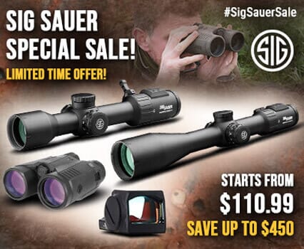 sig sauer sale