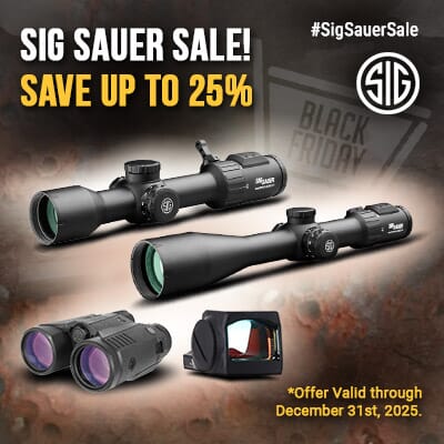 sig sauer sale