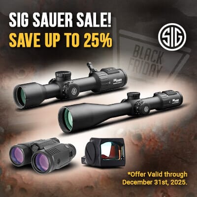 sig sauer sale
