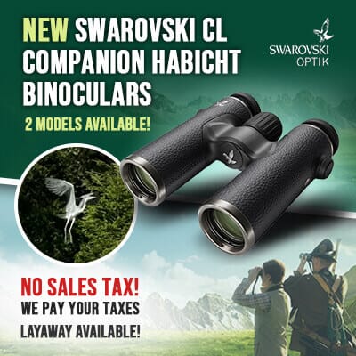 Swarovski CL Companion Habicht