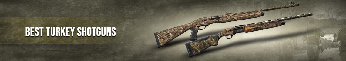 Best Turkey Shotguns